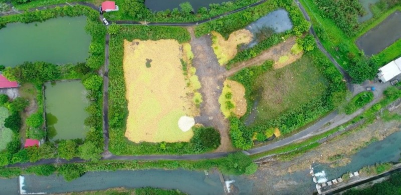 謝龍介出示瑞穗瑞燕段空拍畫面，指控農會大量棄置文旦。（圖擷取自空拍影片）