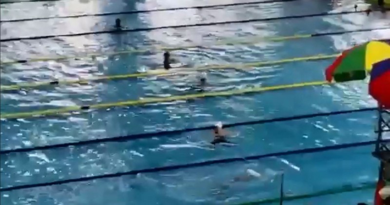有多名中學生在校內游泳比賽的決賽中途停下，與觀眾一起合唱《願榮光歸香港》。（圖擷取自臉書＿體育焦點）