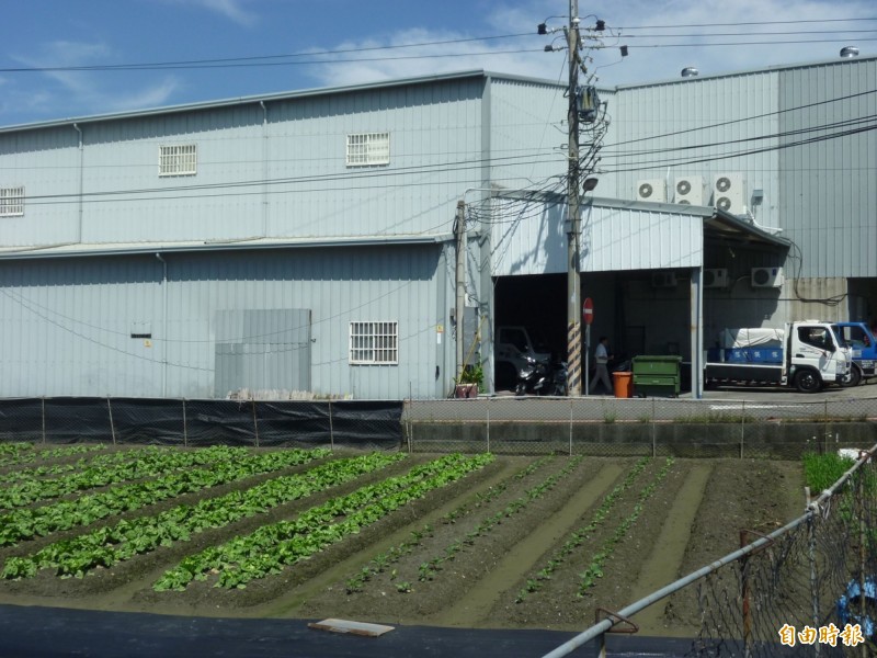 農地工廠的鐵皮屋因建材相對便宜及搭建簡易快速，在郊區及鄉間到處可見。（記者黃鐘山攝）