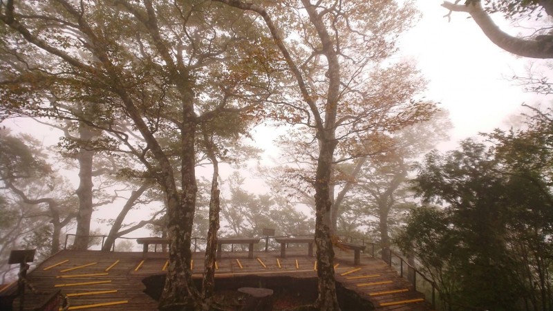 新北市一行39人旅行團到太平山山毛櫸步道健行，一名婦人跌倒腳踝疑脫臼，宜蘭縣消防局獲報後派員上山救援。（資料照，羅東林管處提供）