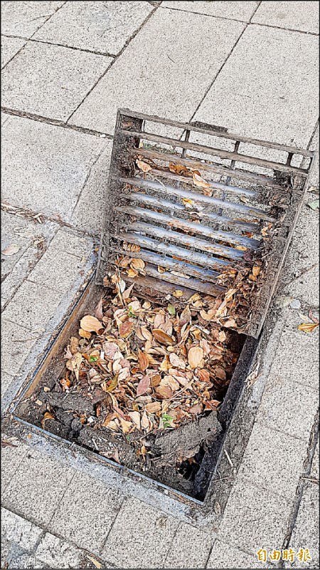 台東市鐵花路是人氣景點，但掀開溝蓋，積滿樹葉汙泥。（記者黃明堂攝）