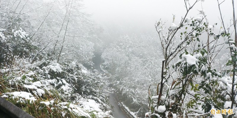 太平山國家森林遊樂區。（資料照，記者簡惠茹攝）