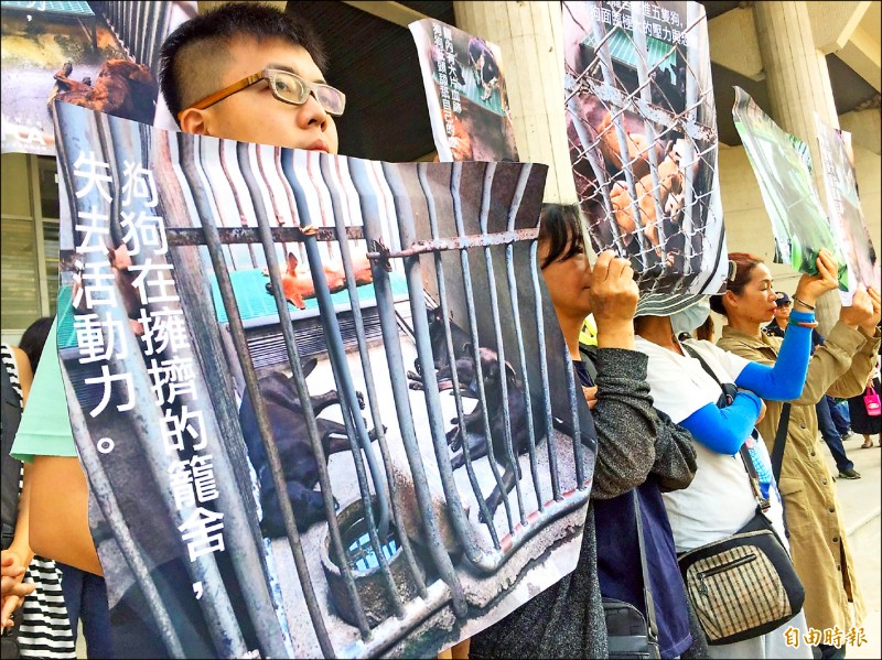 動保團體拍下他們到彰化縣流浪動物中途之家收容現場的照片，放大成海報，赴縣府抗議保護動物政策失靈。（記者張聰秋攝）