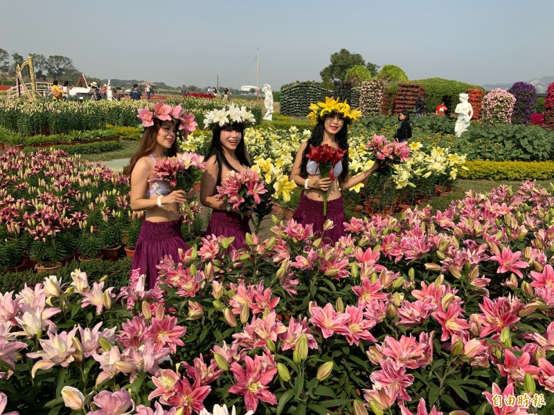 中社花市百合花季登場。（記者張軒哲攝）