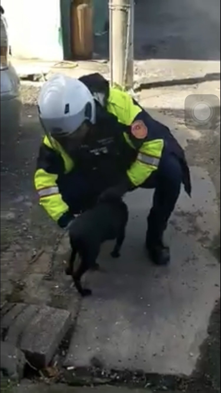 員警救出受困的小黑狗。（記者許倬勛翻攝）