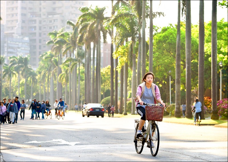 台大系統三所大學擬提案，盼將大學現行每學期十八週課程縮短為十五週；圖為台大校園。（資料照）