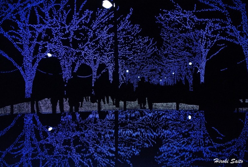 這不是照片 日本藝術家超神逼真紙雕讓網友全嚇翻 生活 自由時報電子報