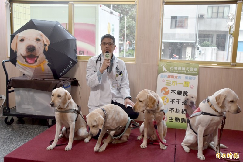 狗天使 5隻導盲犬現身醫院伴童看診紓解緊張 彰化縣 自由時報電子報
