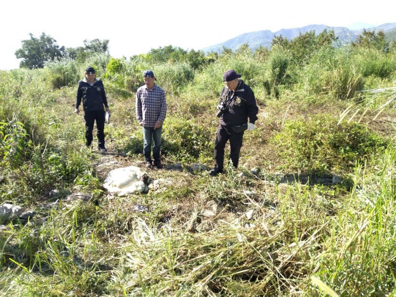 警方重返屠殺牛隻案發現場蒐證，尚未鎖定可疑。（記者陳賢義翻攝）