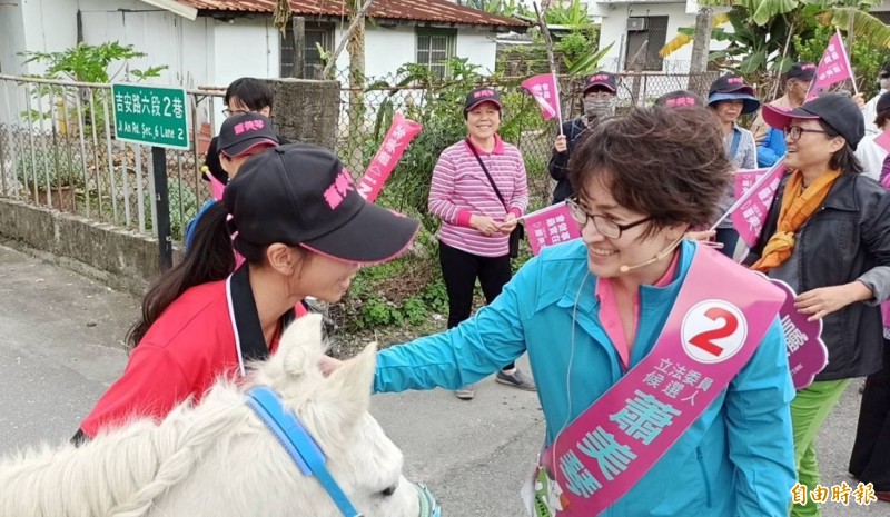 花蓮縣現任立委蕭美琴親自解說，自擔任立委以來，自己在交通、農業、及社會照顧等領域上，所推動的各項政績。最後，蕭美琴更積極喊話，「花蓮絕對是有進步的力量！大家一起來。」（資料照）