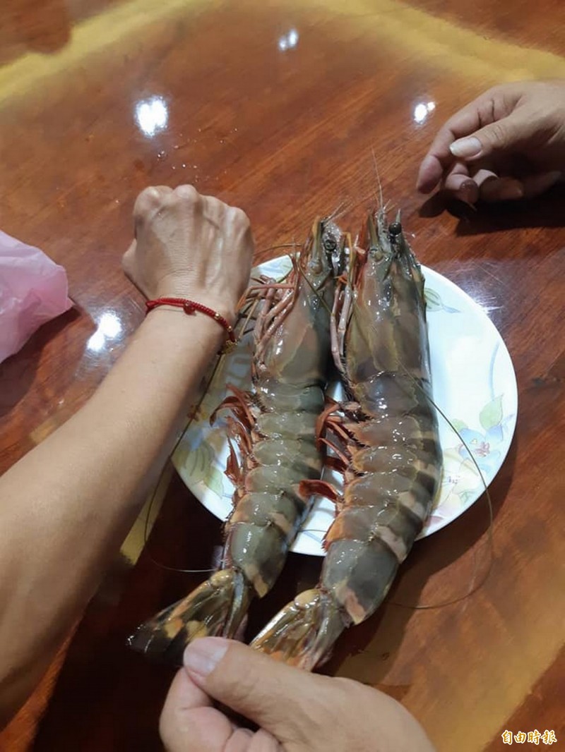 有網友在Costco購買到和手臂差不多大小的草蝦。大草蝦示意圖,非當事人。(資料照)