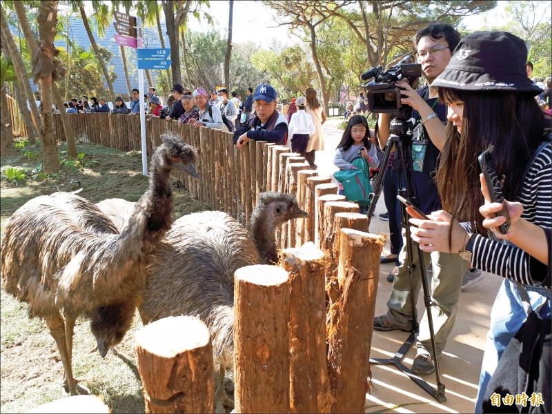 新竹市立動物園昨天重新開園，遊客們開心動物回來了。（記者洪美秀攝）
