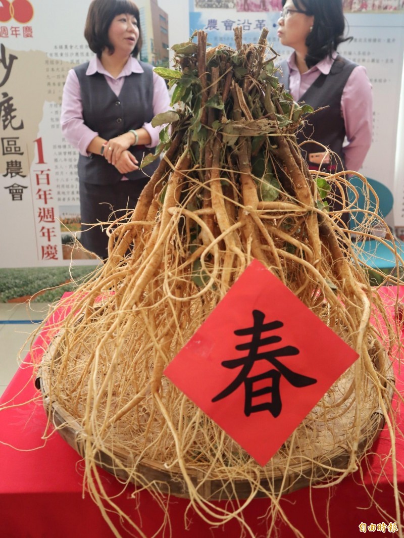 推廣九尾草沙鹿區農會推出即食包 生活 自由時報電子報