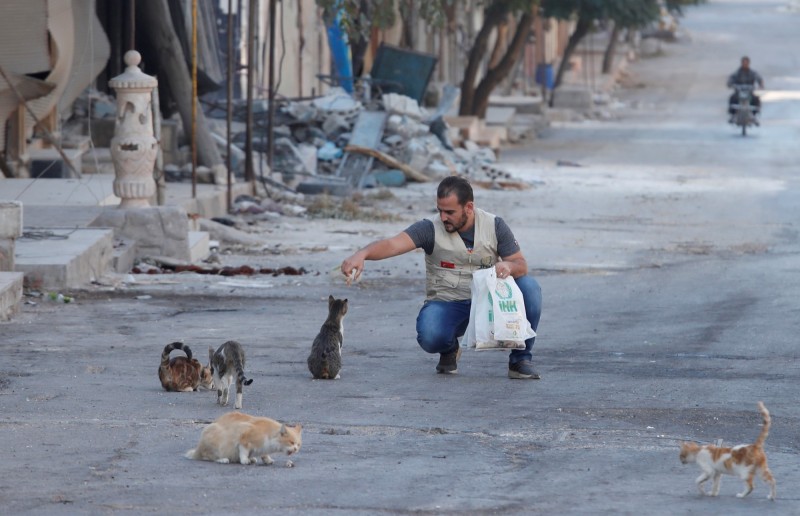 敘利亞的卡夫·納布勒鎮（Kafr Nabl）歷經戰火，人口從4萬人的降至100人，整個城鎮現在貓比人多。圖為一名男子在餵食鎮上貓咪。（路透）