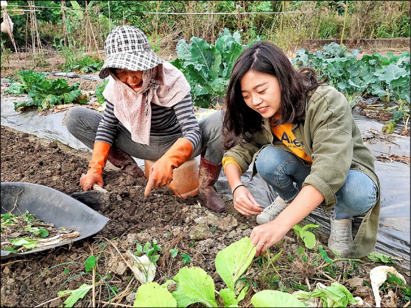 黃語晨（右）協助灣潭社區開闢菜園，幫長輩賣蔬菜。（記者王善嬿攝）