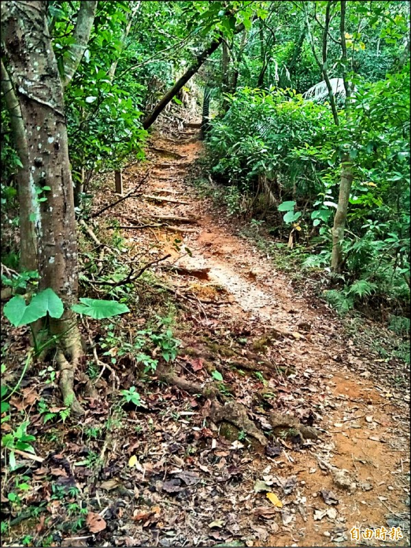 林明弘從土地公廟旁的登山步道往上走600公尺，勒斃妻兒再自殺。
（記者姚岳宏攝）