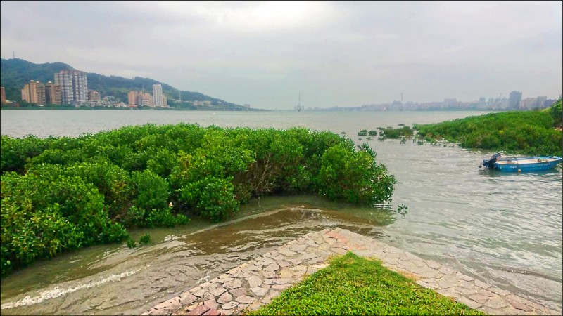 新北市淡水河有帆船翻覆。（記者王宣晴翻攝）