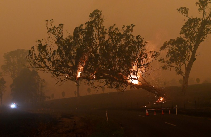 澳洲野火延燒超過2個月，許多野生動物棲地被破壞，截至13日大火已造成27人喪生，燒毀了2000多棟房子。（路透）
