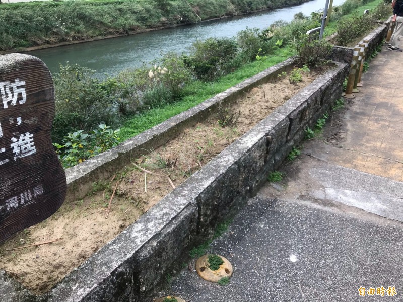 基隆市七堵區崇智橋附近的河堤人行步道，步道旁的植栽乏人照顧而枯萎，基隆市議員楊秀玉今天下午表示，市府告知將於過年後重新植栽綠美化。（記者俞肇福攝）