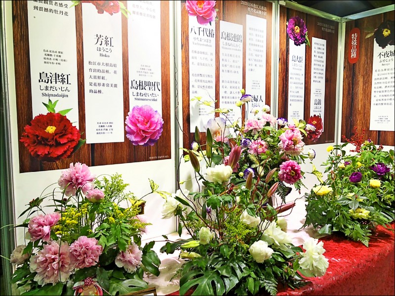 ぜいたく牡丹 日本画 花 最高の花の画像