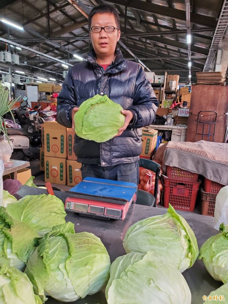 高麗菜每公斤11元，比去年上漲4成3。（記者陳文嬋攝）