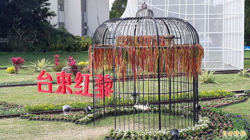 台東紅藜季在舊火車站登場。（記者黃明堂攝）