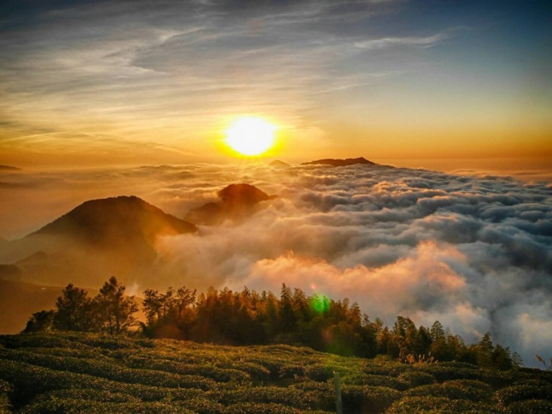 雲嶺之丘還可看到夕陽雲海，令人宛如置身仙境。（草嶺石壁大飯店高名煌提供）