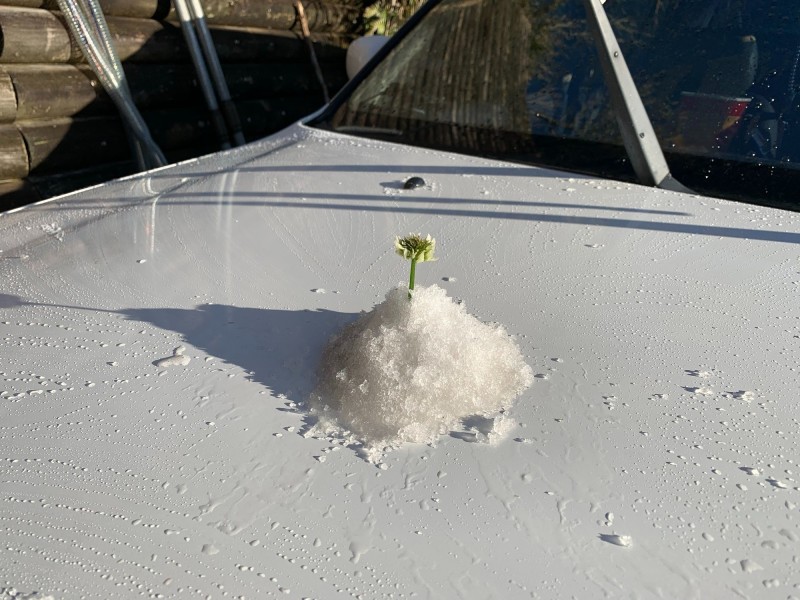 未下雪不減遊客興致，利用結霜疊起小山紀念。（記者張議晨翻攝）