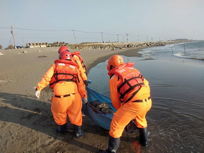 海巡署人員將已死亡的海龜自海邊移走。（記者許麗娟翻攝）