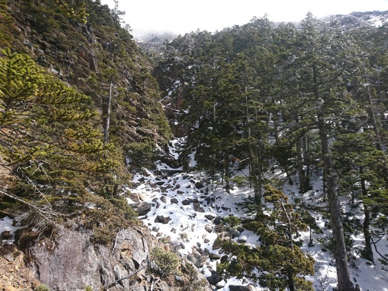 玉山國家公園高山地區積雪仍厚，玉管處呼籲山友備妥雪地裝備才能入山。（記者劉濱銓翻攝）