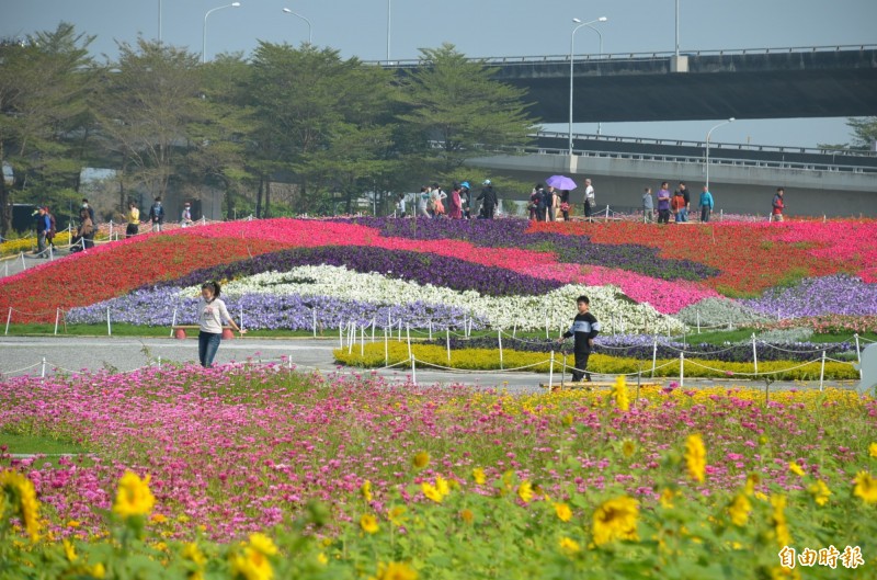 屏東熱博花海美景吸引民眾拍照打卡。（記者李立法攝）