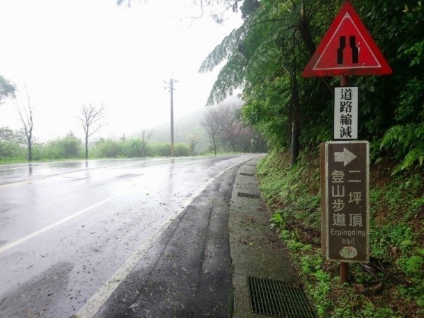 賞櫻遛狗三芝動物之家櫻花盛開 生活 自由時報電子報