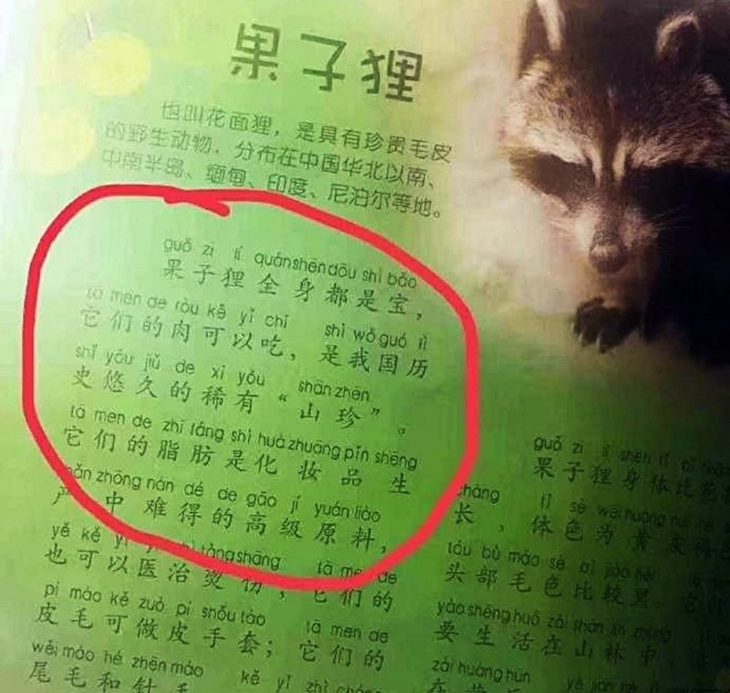 武漢童書宣揚吃果子狸網友 難怪成為疫情起源地 國際 自由時報電子報