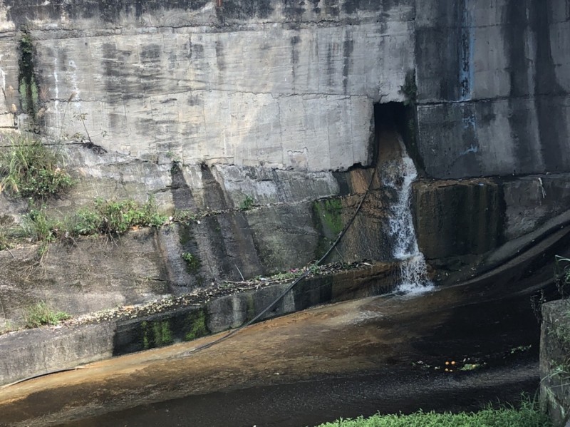 工地排廢水楊梅老坑溪慘變 臭奶茶河 生活 自由時報電子報