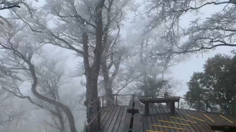 太平山山毛櫸步道的霧淞美景。（記者江志雄翻攝）