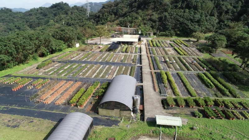 植樹月植栽兌換活動從3月2日至21日連續20天辦理，民眾憑3張1-2月、3-4月發票換領苗木1株，每人限領5株，共發5000株樹苗或花苗，送完為止。（記者俞肇福翻攝）