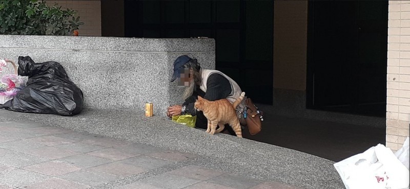 原PO貼出正在餵食橘貓的阿伯身影。（圖擷自爆廢公社）