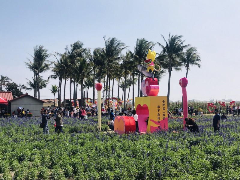 學甲蜀葵花季，吸引民眾來郊遊踏青。（南市觀旅局提供）