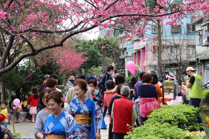 板橋永安公園櫻花盛開，社區舉辦賞櫻活動，吸引許多民眾參加。（記者翁聿煌攝）