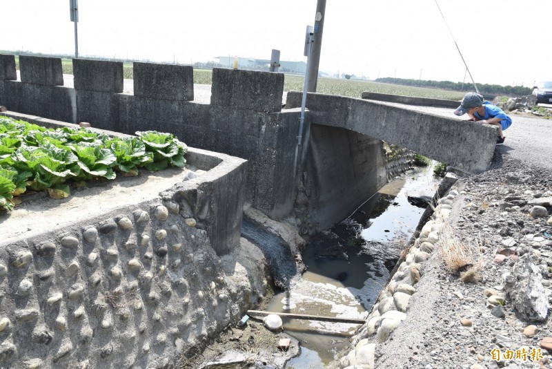 雲林土庫一處養豬場疑偷排廢水，造成新庄大排污染且臭味熏天。（記者黃淑莉攝）