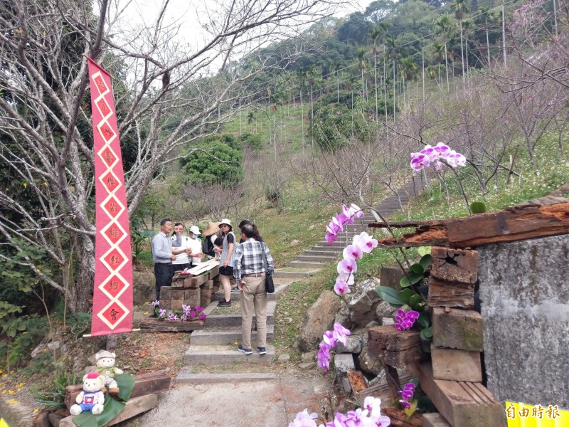 竹崎鄉金獅村打造賞櫻秘境古道旁設茶席飄文青味 生活 自由時報電子報