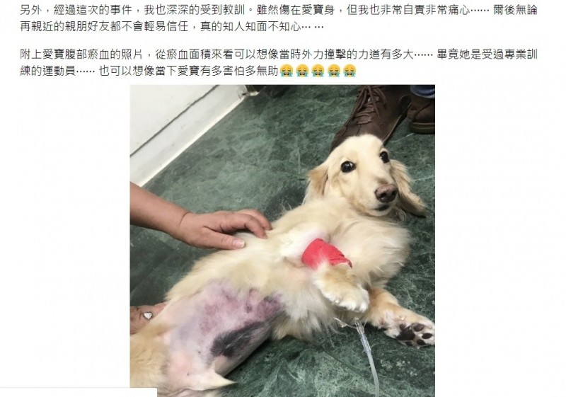 李姓飼主去年將愛犬受傷的照片上傳Dcard。（圖擷取至Dcard）