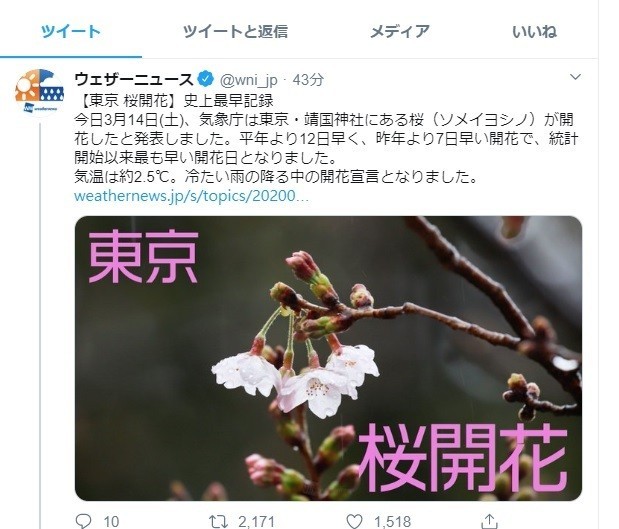 日本氣象公司weathernews在推特上公布東京櫻開花消息。（取自推特）