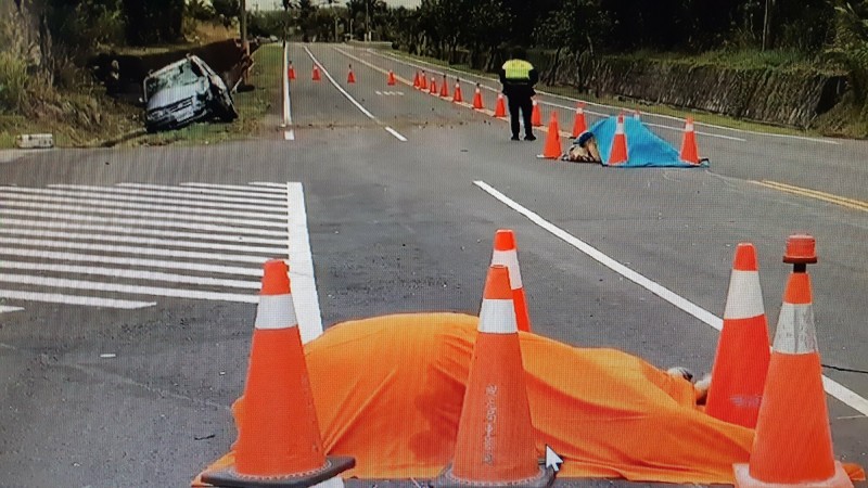 台11線成功路段今天凌晨發生車撞牛交通事故，兩隻牛屍早上仍保持在路中，警方進行交管，自小客則衝入邊溝。（記者黃明堂翻攝）