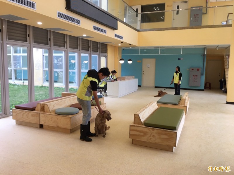 全國第2個友善殯葬縣市 竹市為街頭往生犬貓送火化場 生活 自由時報電子報