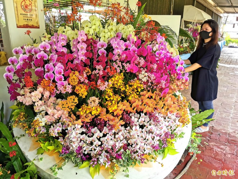 武漢肺炎 蘭花業者自力救濟逾00株外銷品種免費看 生活 自由時報電子報