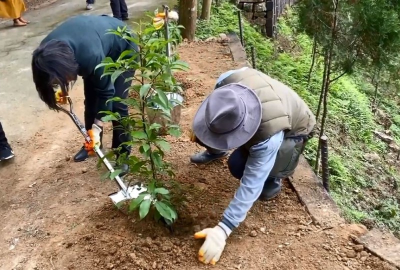 賴桑 砸數億買10座山就為了種樹網淚喊 真偉人 政治 自由時報電子報