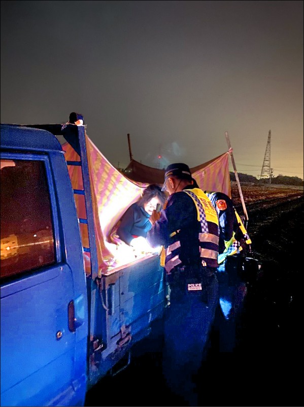 雲林／蒜頭量少價高 蒜農夜宿農地守收成