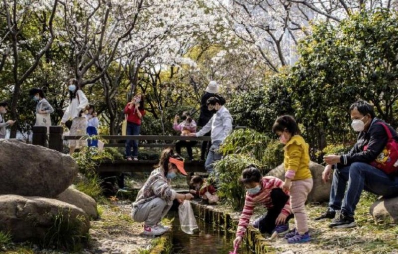 中國上海各大公園於3月13日以來逐步開放，竟已累計212萬人次入園遊覽。（圖擷自微博）