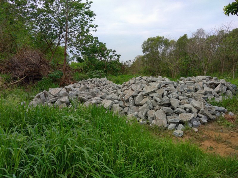 台南沙崙農場被人載運大量建築廢棄土石進入樹林旁的農地傾倒。（讀者提供）